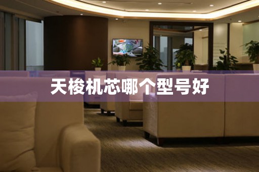 天梭機(jī)芯哪個(gè)型號(hào)好