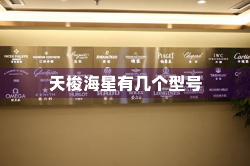 天梭海星有幾個(gè)型號(hào)