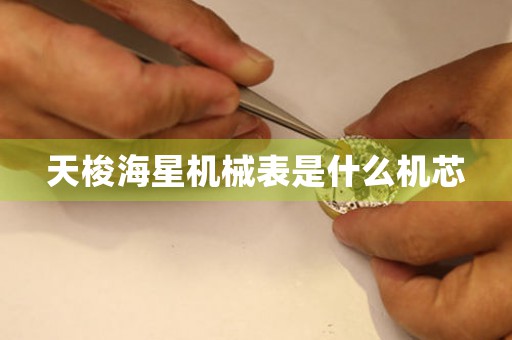 天梭海星機(jī)械表是什么機(jī)芯