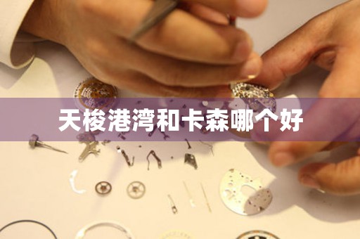天梭港灣和卡森哪個好