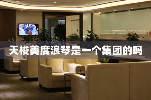 天梭美度浪琴是一個(gè)集團(tuán)的嗎