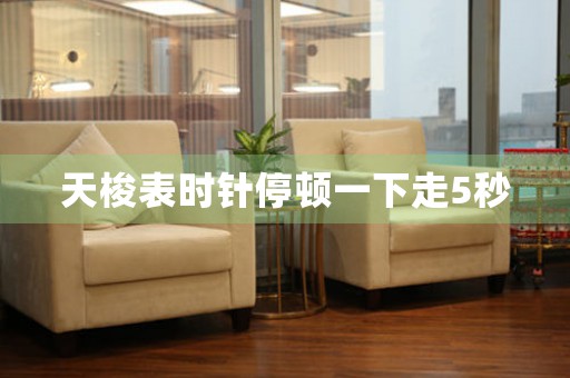 天梭表時(shí)針停頓一下走5秒
