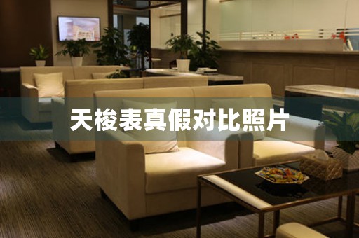 天梭表真假對(duì)比照片