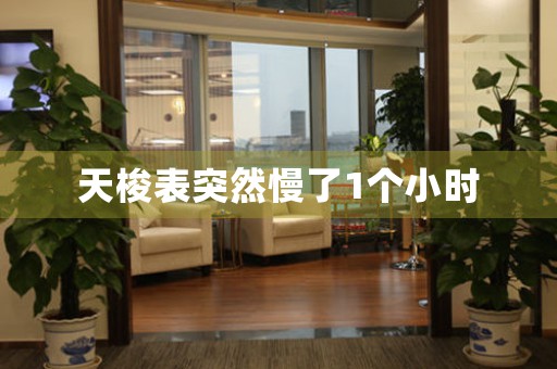 天梭表突然慢了1個(gè)小時(shí)