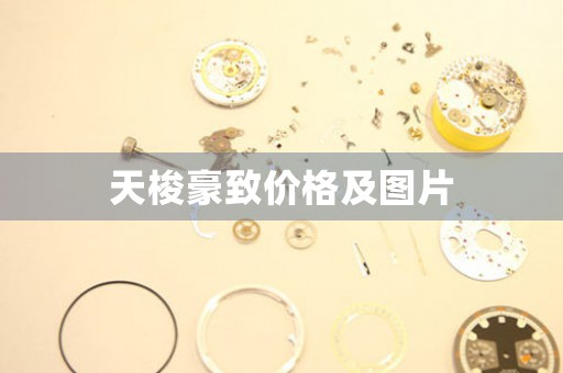 天梭豪致價(jià)格及圖片