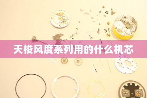 天梭風(fēng)度系列用的什么機(jī)芯