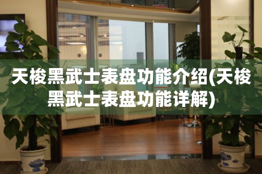 天梭黑武士表盤(pán)功能介紹(天梭黑武士表盤(pán)功能詳解)