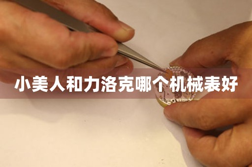 小美人和力洛克哪個機(jī)械表好