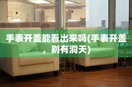 手表開蓋能看出來嗎(手表開蓋，別有洞天)