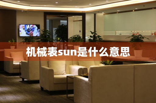 機械表sun是什么意思