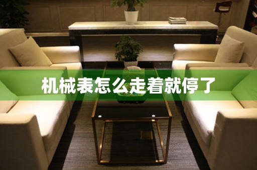 機(jī)械表怎么走著就停了