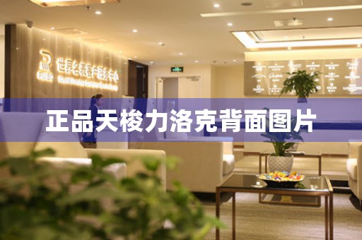 正品天梭力洛克背面圖片