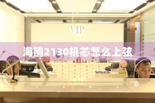 海鷗2130機(jī)芯怎么上弦