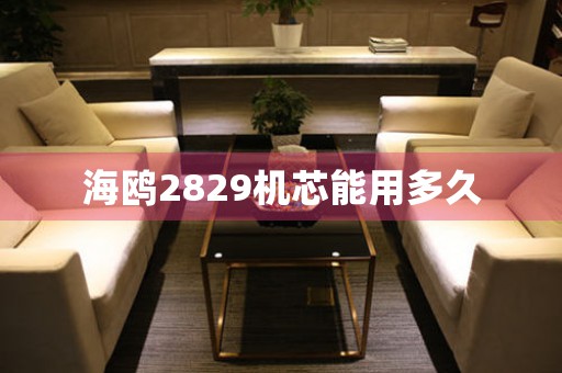 海鷗2829機(jī)芯能用多久