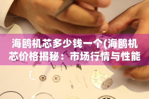 海鷗機(jī)芯多少錢一個(gè)(海鷗機(jī)芯價(jià)格揭秘：市場(chǎng)行情與性能對(duì)比)