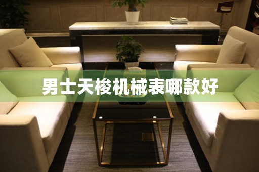 男士天梭機械表哪款好