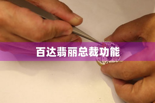 百達(dá)翡麗總裁功能