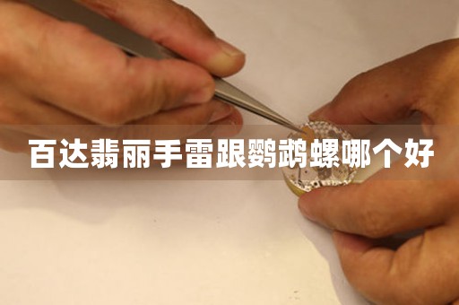 百達(dá)翡麗手雷跟鸚鵡螺哪個(gè)好