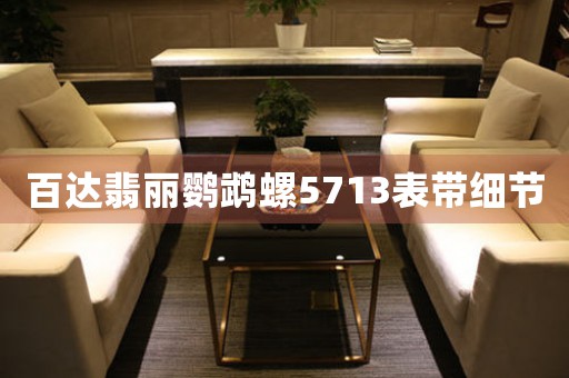 百達(dá)翡麗鸚鵡螺5713表帶細(xì)節(jié)