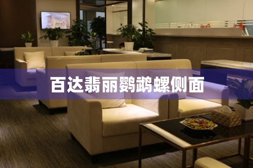 百達(dá)翡麗鸚鵡螺側(cè)面