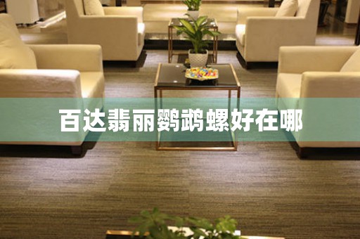 百達(dá)翡麗鸚鵡螺好在哪