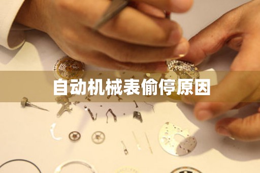 自動機械表偷停原因