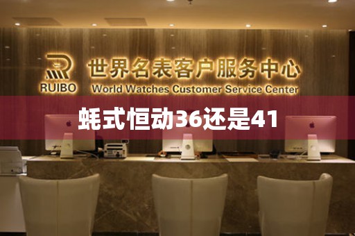 蠔式恒動36還是41