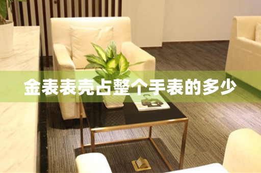 金表表殼占整個手表的多少