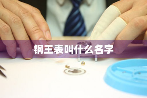 鋼王表叫什么名字