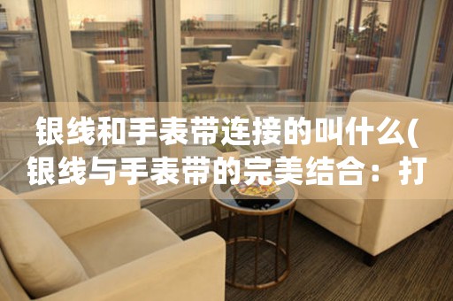 銀線和手表帶連接的叫什么(銀線與手表帶的完美結(jié)合：打造時(shí)尚新配飾)