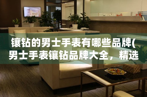 鑲鉆的男士手表有哪些品牌(男士手表鑲鉆品牌大全，精選知名品牌及購買攻略)