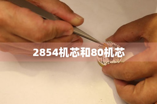 2854機(jī)芯和80機(jī)芯