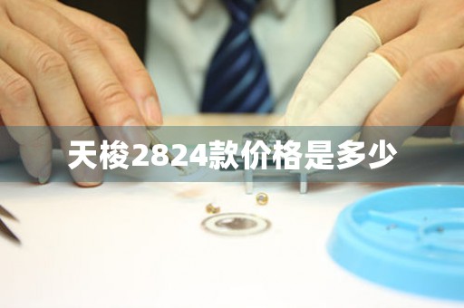 天梭2824款價(jià)格是多少