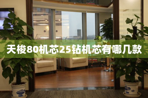 天梭80機(jī)芯25鉆機(jī)芯有哪幾款