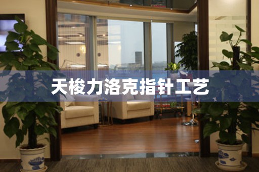 天梭力洛克指針工藝