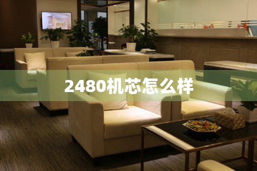 2480機(jī)芯怎么樣