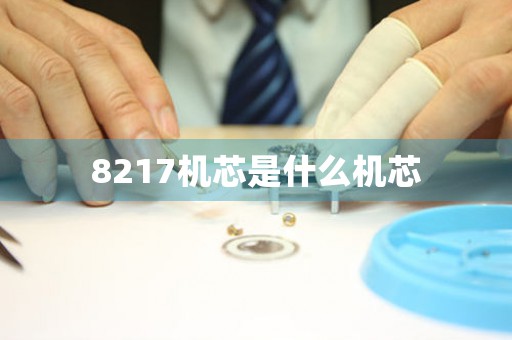 8217機(jī)芯是什么機(jī)芯