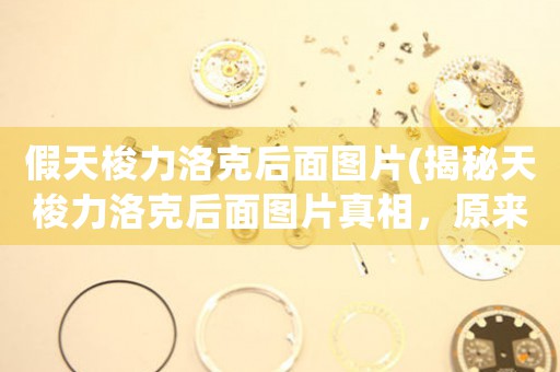 假天梭力洛克后面圖片(揭秘天梭力洛克后面圖片真相，原來如此奇妙！)