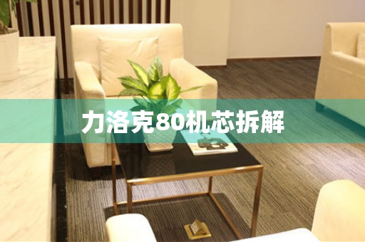 力洛克80機(jī)芯拆解