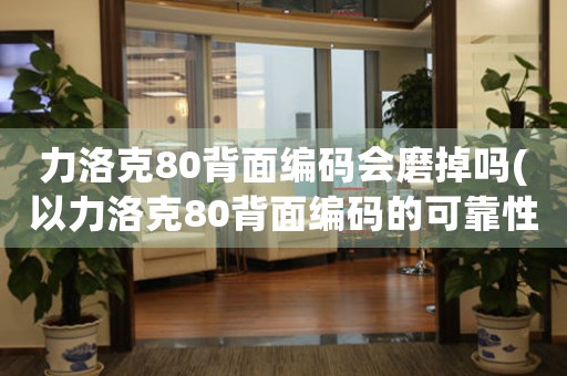 力洛克80背面編碼會磨掉嗎(以力洛克80背面編碼的可靠性研究：磨損問題分析與解決方案)
