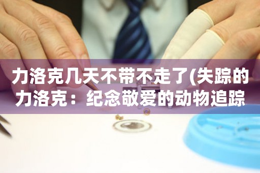 力洛克幾天不帶不走了(失蹤的力洛克：紀(jì)念敬愛的動物追蹤家)