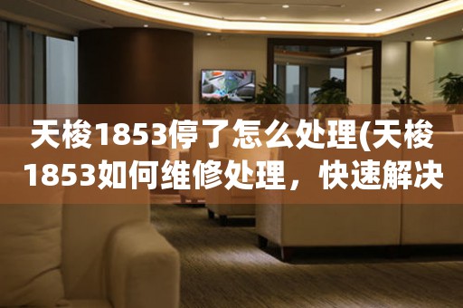 天梭1853停了怎么處理(天梭1853如何維修處理，快速解決停機問題！)