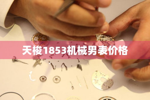 天梭1853機械男表價格
