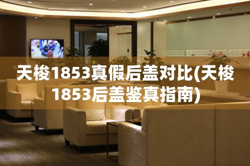 天梭1853真假后蓋對比(天梭1853后蓋鑒真指南)