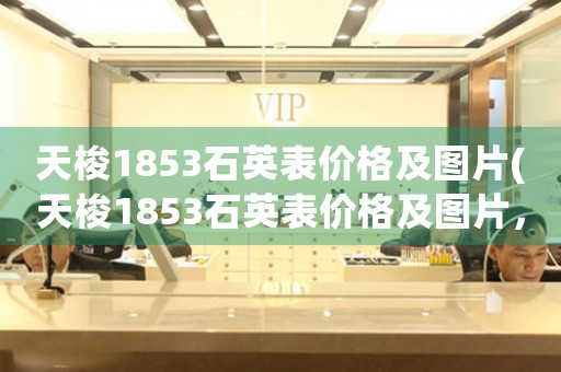 天梭1853石英表價格及圖片(天梭1853石英表價格及圖片，一網打盡！)
