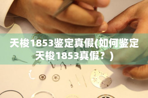 天梭1853鑒定真假(如何鑒定天梭1853真假？)