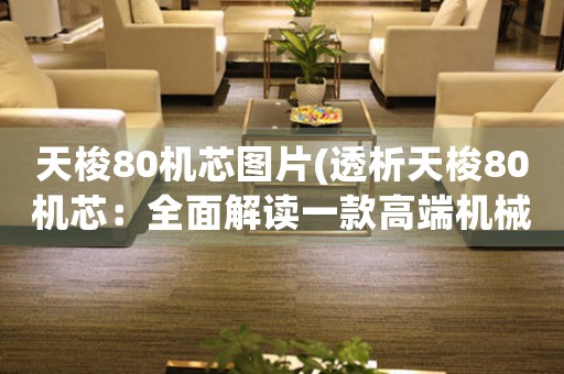 天梭80機芯圖片(透析天梭80機芯：全面解讀一款高端機械表機芯的精密構(gòu)造)