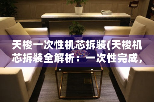 天梭一次性機芯拆裝(天梭機芯拆裝全解析：一次性完成，全方位詳解)