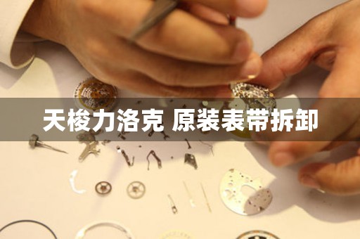 天梭力洛克 原裝表帶拆卸