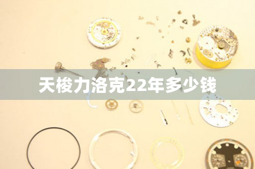 天梭力洛克22年多少錢